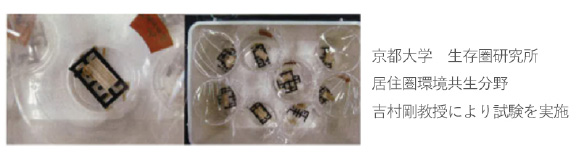 シロアリ対策のホウ酸系防蟻剤の効果耐アメリカカンザイシロアリ性能試験：画像1
